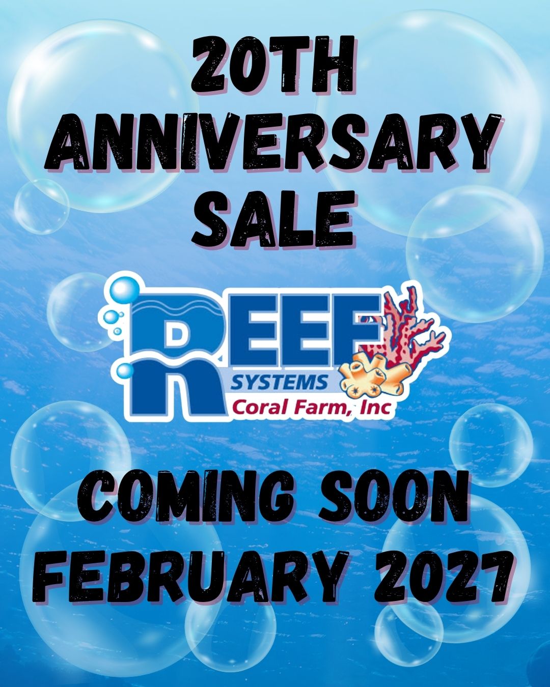 20th Anniversary Sale February 2027