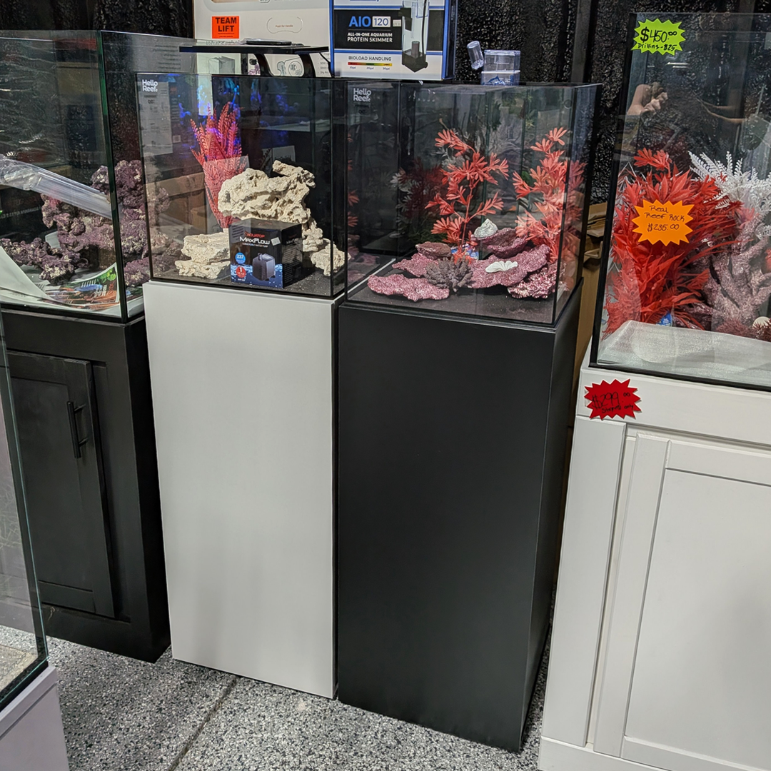 Hello Reef 15-gallon AIO Glass Cube Tank