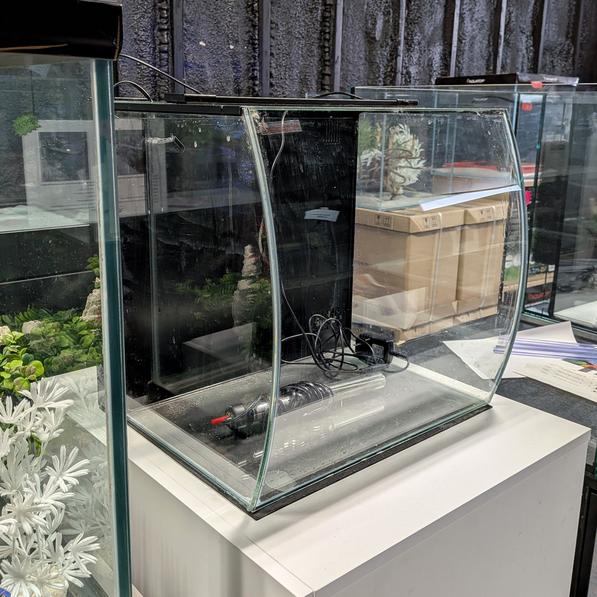 AQUATOP Bow Front Glass Aquarium 13.5 gal. Tank Kit