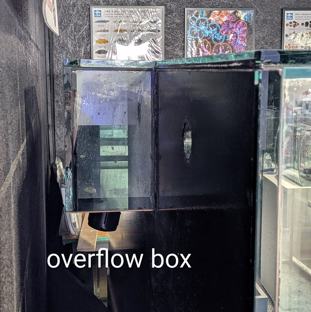 218-gallon Thick Glass Custom Aquarium with Steel Stand and Cabinet Doors