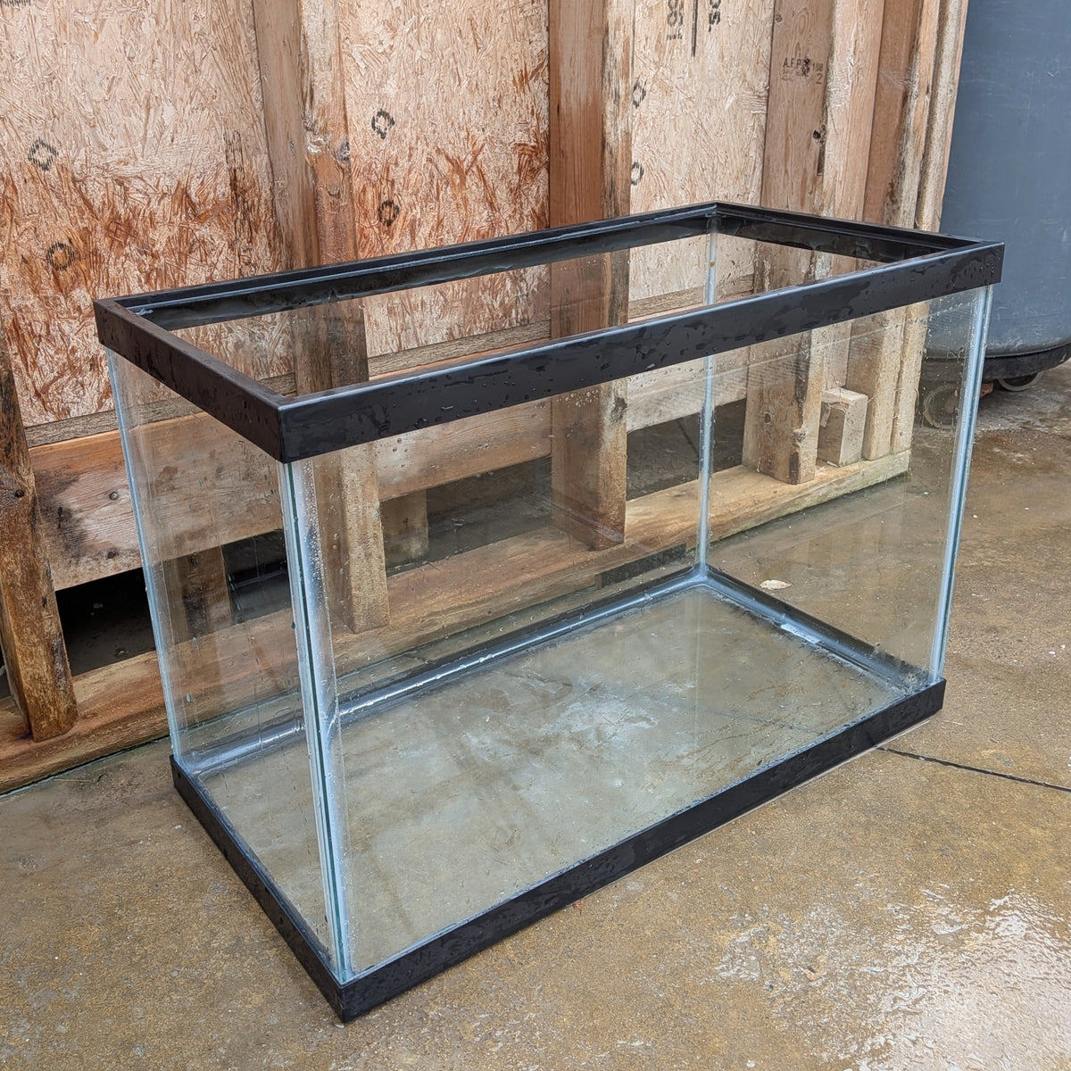 (Used) 19.5-gallon Glass Aquarium