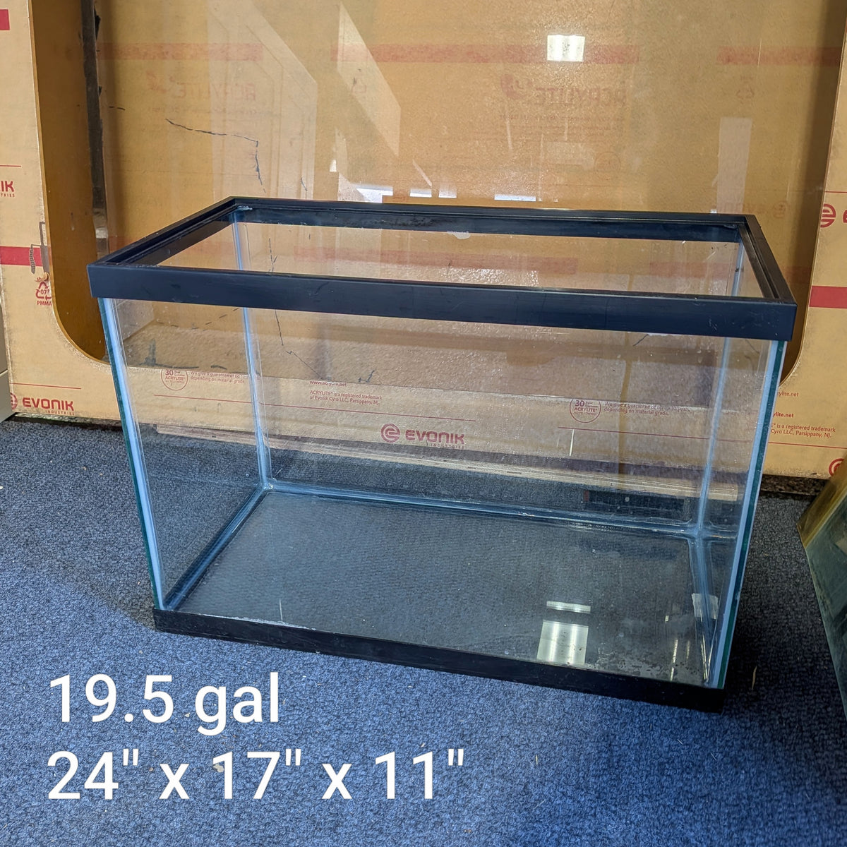 (Used) 19.5-gallon Glass Aquarium