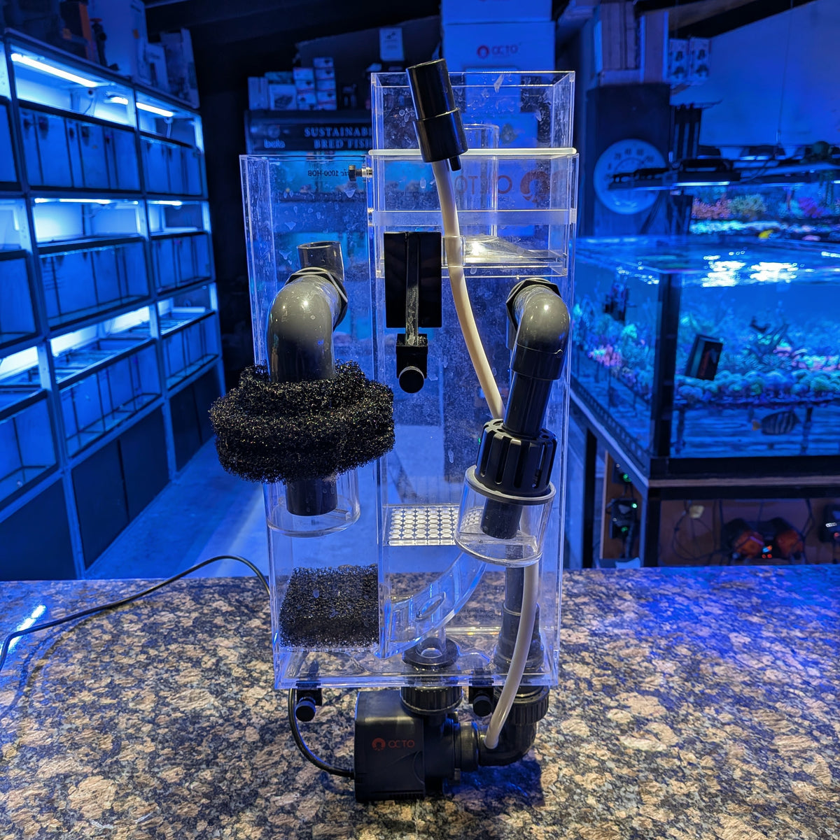 Classic 1000-HOB Hang on the Back Protein Skimmer with External Pump