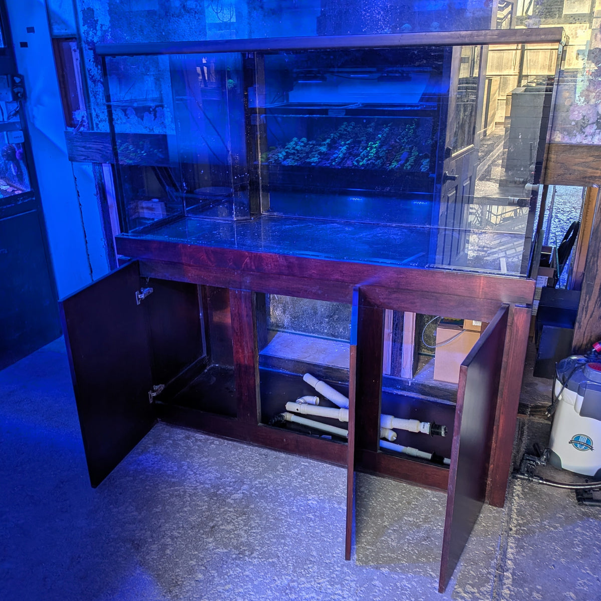 Rref Tank (Used) 180-gallon Planet Aquarium Tank & Stand – Reef Systems Coral ...