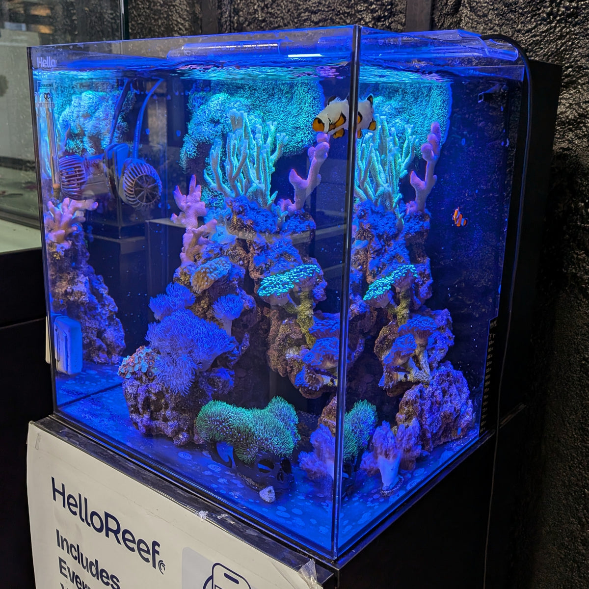 Hello Reef 15-gallon AIO Glass Cube Tank