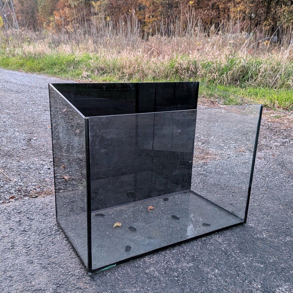 (Used) 20-gallon Sloped Glass Aquarium/ Terrarium