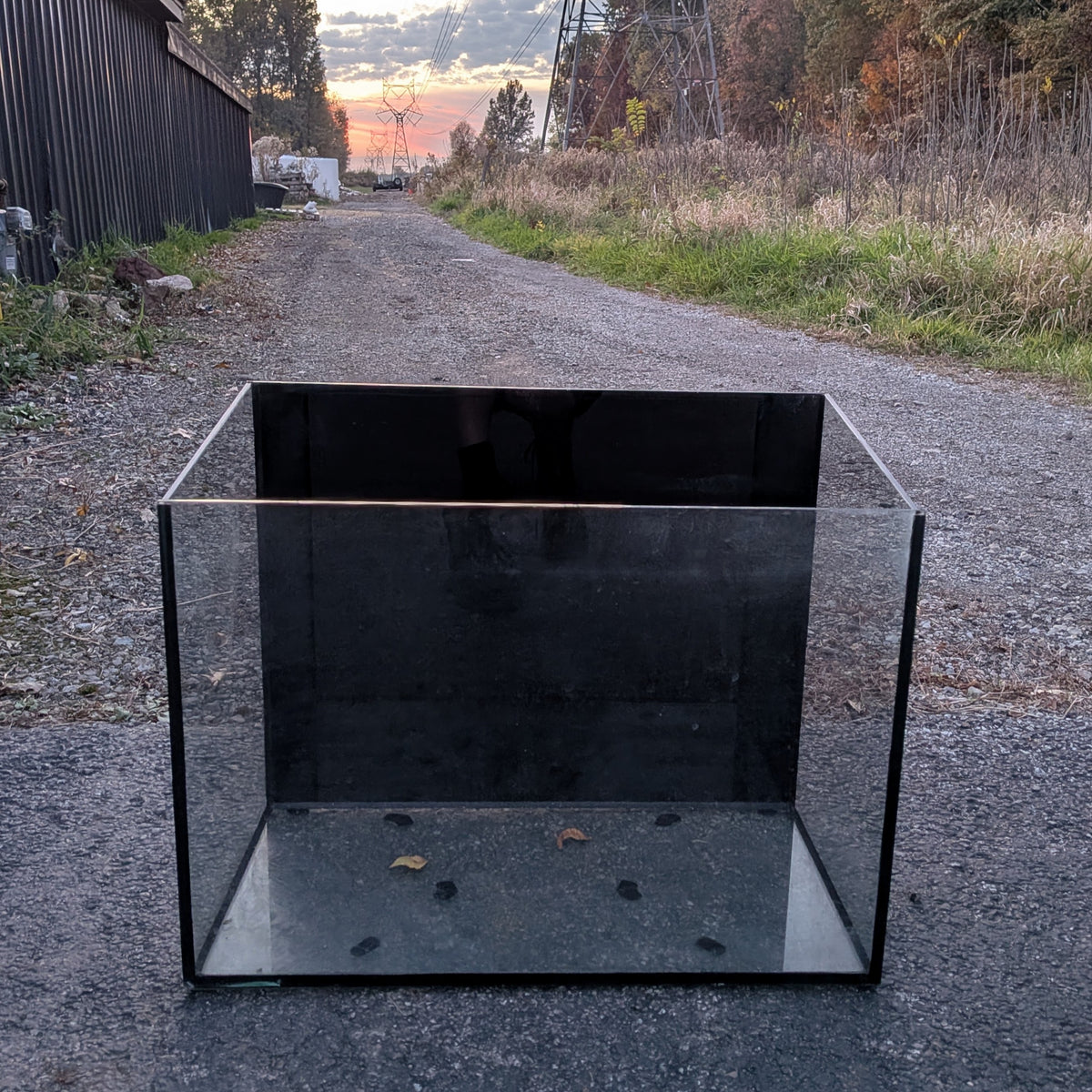 (Used) 20-gallon Sloped Glass Aquarium/ Terrarium