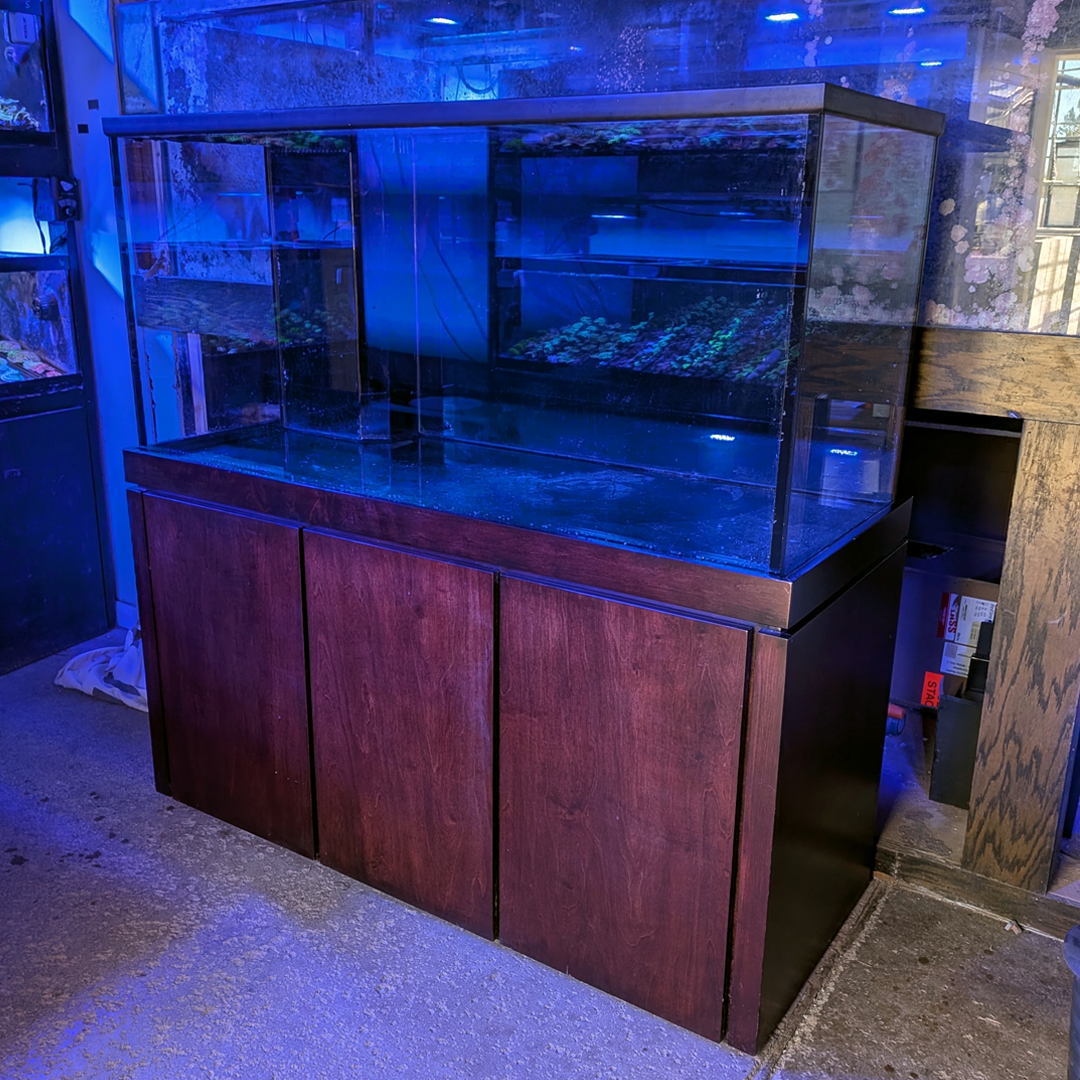 (Used) 175-gallon Planet Aquarium Tank & Stand