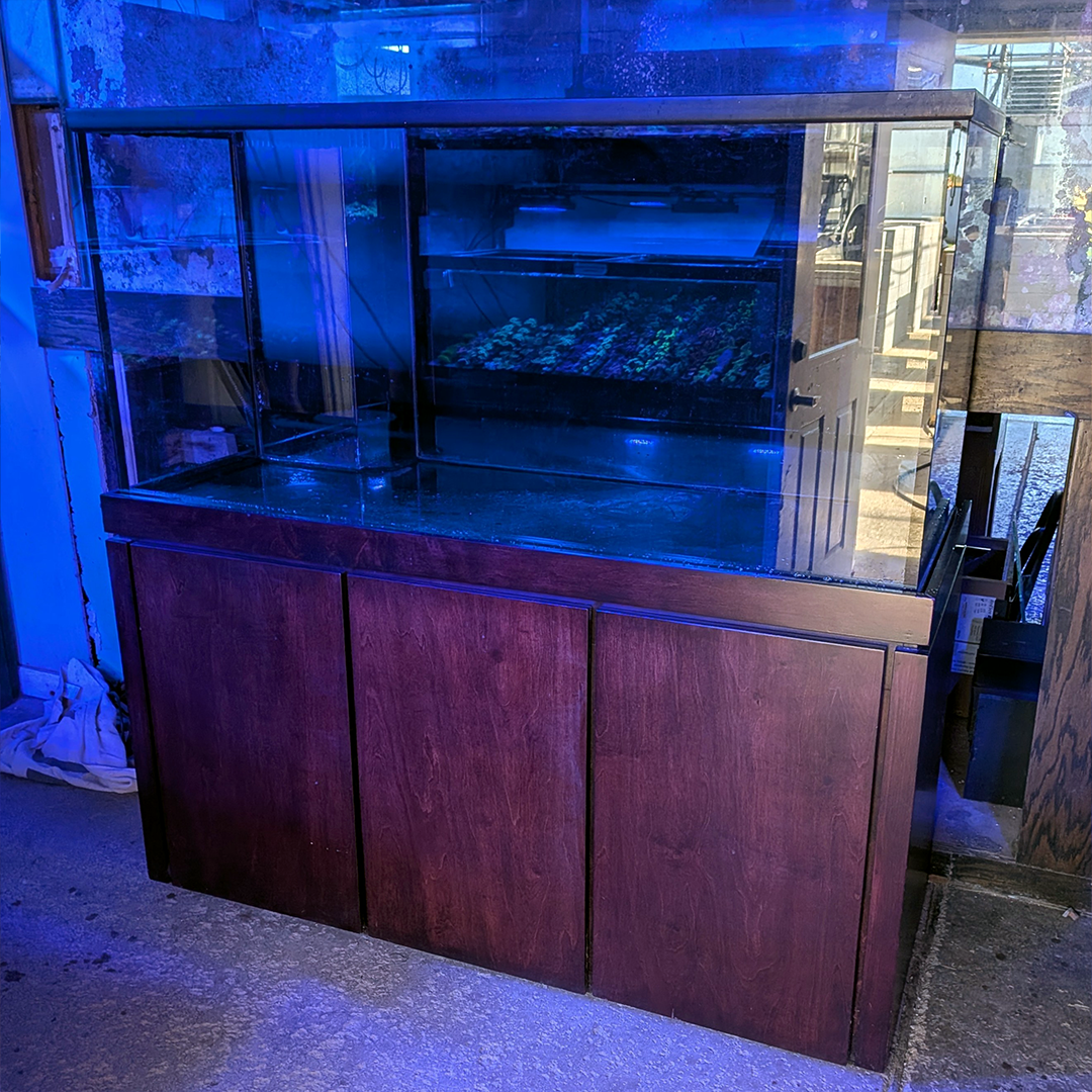 (Used) 175-gallon Planet Aquarium Tank & Stand