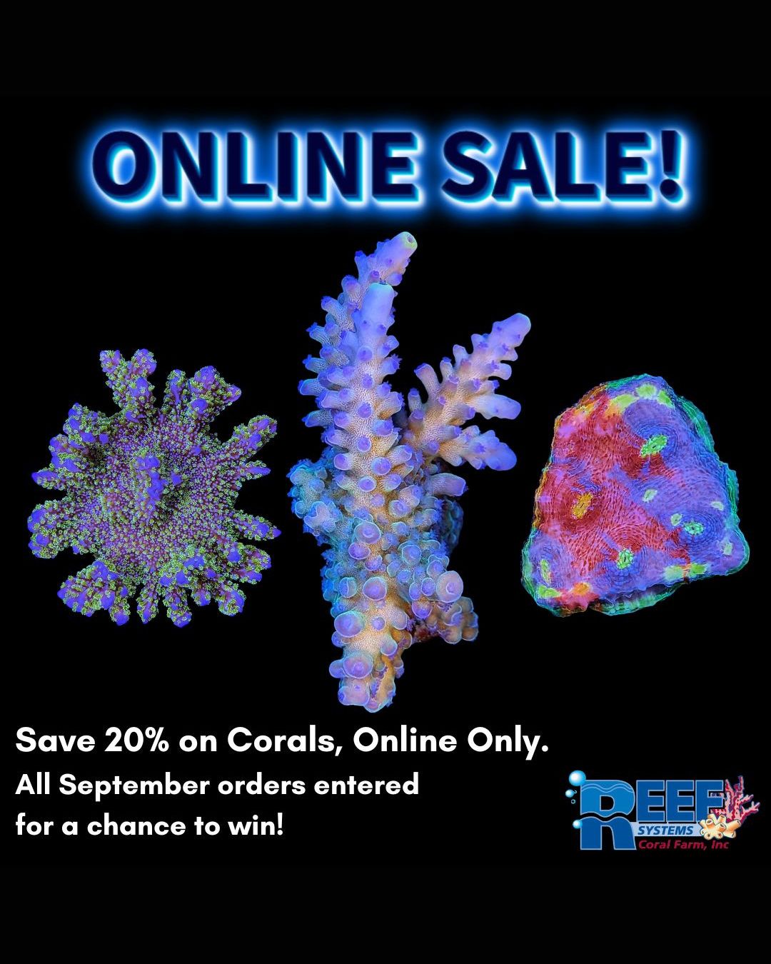 20% OFF ALL CORAL! Use code: RSCF20